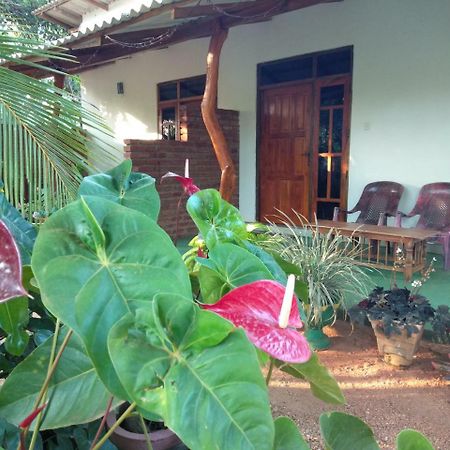 Amaya River Side Homestay Sigiriya Luaran gambar