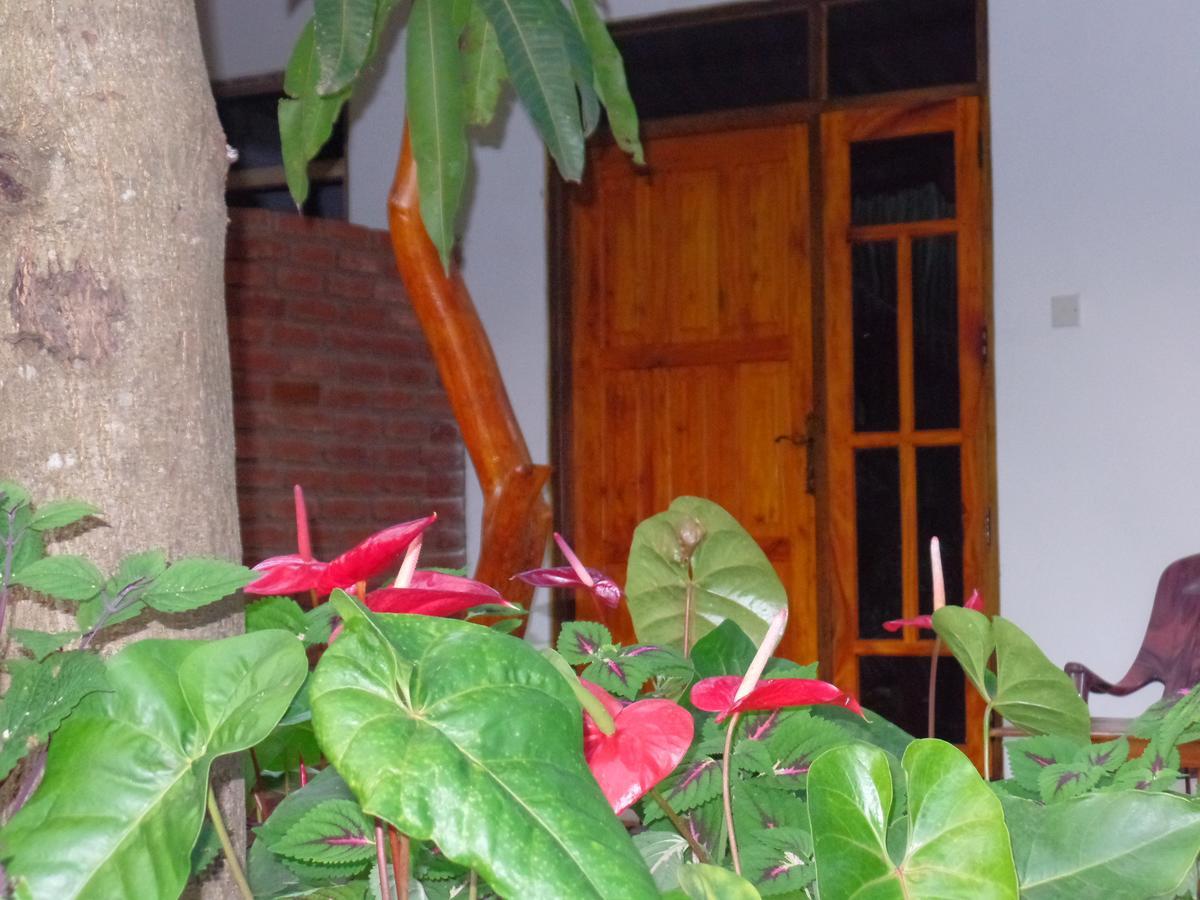 Amaya River Side Homestay Sigiriya Luaran gambar