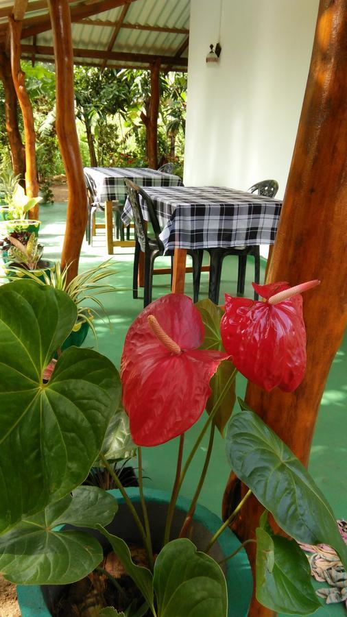 Amaya River Side Homestay Sigiriya Luaran gambar