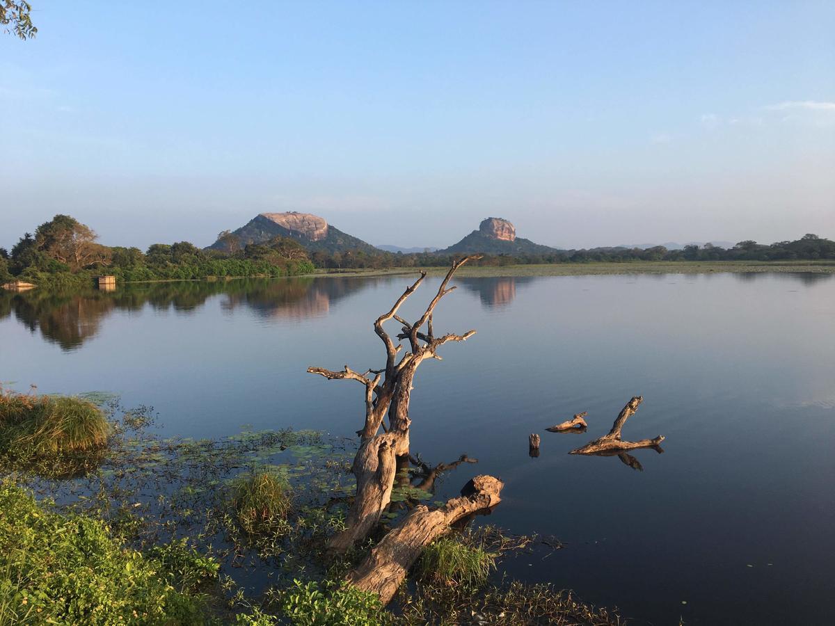 Amaya River Side Homestay Sigiriya Luaran gambar