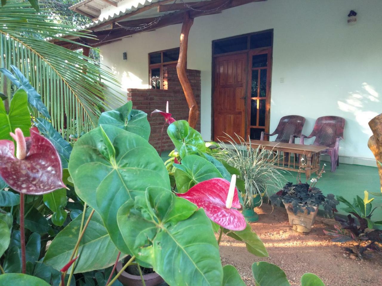 Amaya River Side Homestay Sigiriya Luaran gambar
